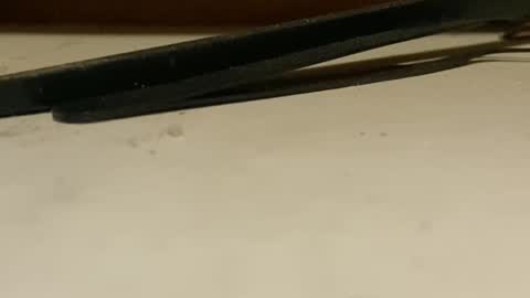 0987alexa_angel7890 online show from November 30, 6:04 pm