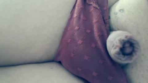 111mh online show from January 26, 10:45 am