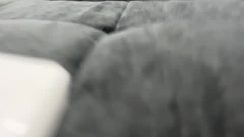 1ofthegoodguys online show from December 11, 4:31 pm