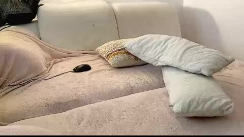 TORCH online show from January 28, 7:11 am