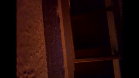 1st___ online show from March 1, 5:55 am