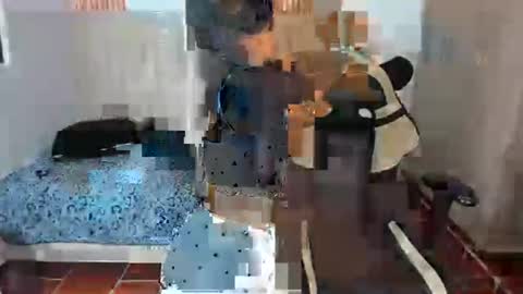 25 Dilce online show from July 9, 11:31 pm