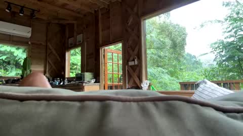 2littlefox online show from March 2, 7:45 pm