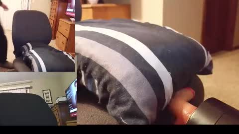 2tiredoftoys online show from January 16, 8:23 am