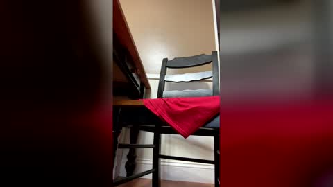 33adidas online show from February 3, 1:04 pm