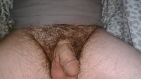 Phil online show from April 3, 1:56 am