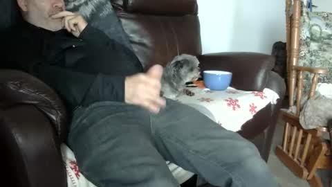 Snapshot of 66bear chatting on October 31, 5:46 pm 66bear online show from October 31, 5:46 pm