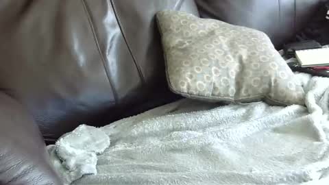 Snapshot of 66bear chatting on January 31, 6:57 pm 66bear online show from January 31, 6:57 pm