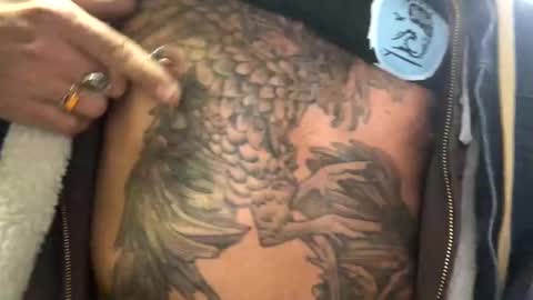 6990fiko online show from February 16, 4:53 pm