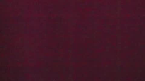 Brendi online show from January 31, 7:50 am