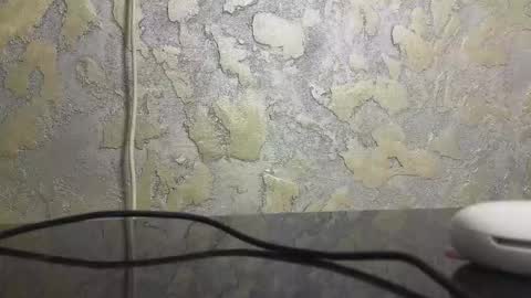 Candy online show from December 17, 11:28 am