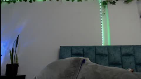 Snapshot of _donniia_ chatting on January 23, 7:51 pm Dannia online show from January 23, 7:51 pm