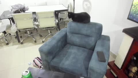 Emma online show from January 17, 1:15 am