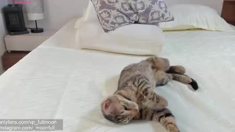  fullmoon online show from March 21, 7:18 pm