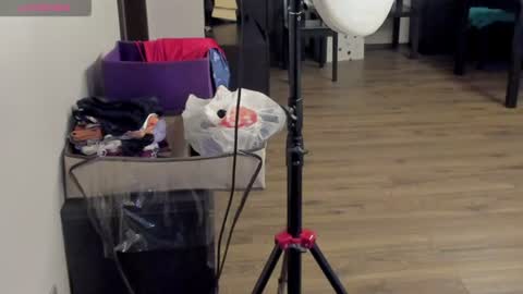 _molly04 online show from June 11, 8:34 am