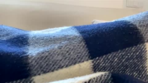 _muestroverga online show from March 15, 7:02 am