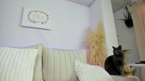 Ary online show from February 18, 6:41 pm