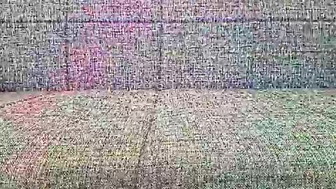 XXL online show from February 3, 9:46 am