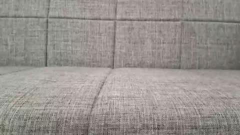 XXL online show from February 17, 6:34 am