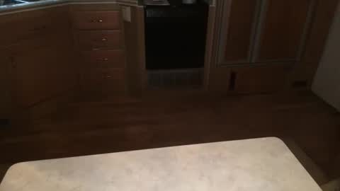 ace online show from November 28, 8:38 pm