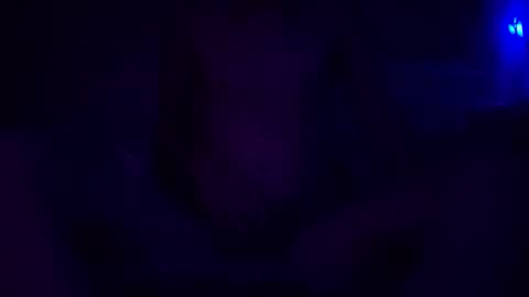 adamllamas online show from December 30, 5:48 am