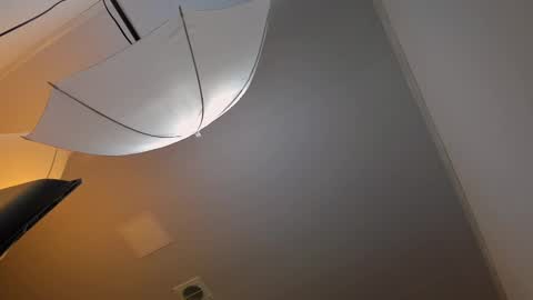 adbel sady online show from March 8, 11:05 am