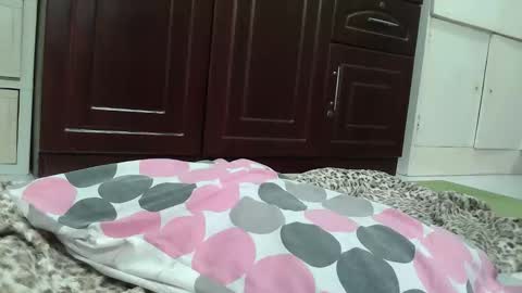 annelovesu online show from April 24, 5:26 pm