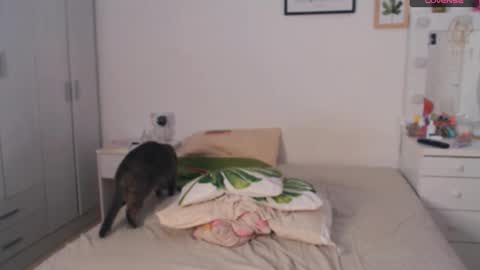 Snapshot of adorablekat29 chatting on October 23, 5:14 pm Kattt online show from October 23, 5:14 pm