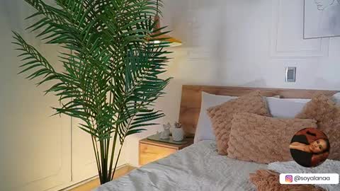 Alana online show from November 7, 3:42 am