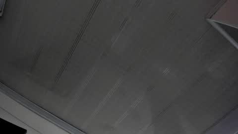 Maeve  online show from February 11, 4:56 pm