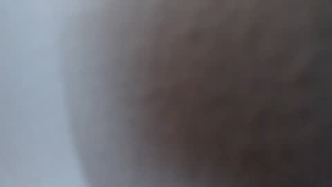 Alexamdergal online show from July 2, 5:29 pm
