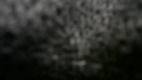 Doggystyle online show from March 8, 12:11 am