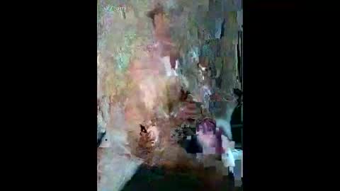 alexkr95 online show from October 15, 7:00 am