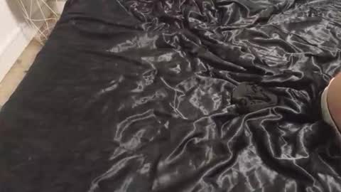 alexp779477 online show from February 17, 11:26 pm