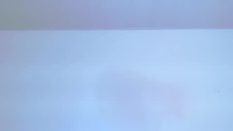     online show from February 13, 9:07 pm