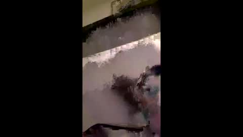 Sandwich online show from February 27, 3:37 pm