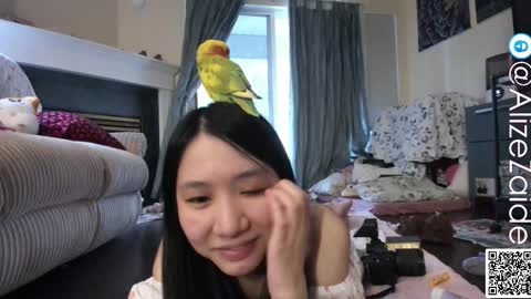 Alize Zaide online show from October 31, 8:20 pm