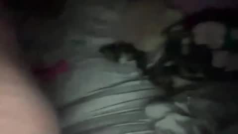 Emm Emm online show from December 23, 2:29 am