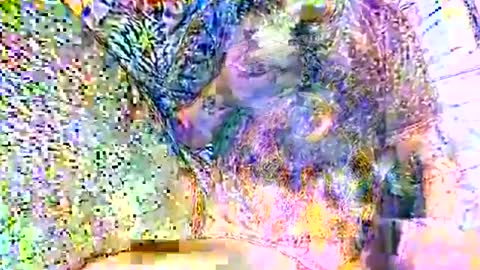 alliebearx online show from October 13, 4:36 am