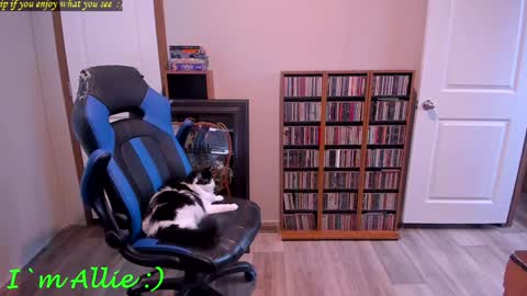 Allie online show from December 29, 7:22 pm