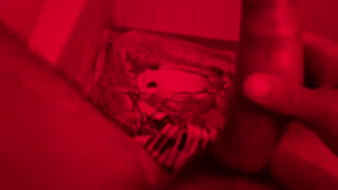 alllove2005 online show from August 10, 4:06 am