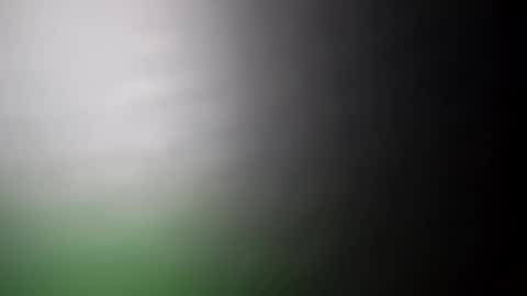 alostmale online show from February 20, 7:34 am