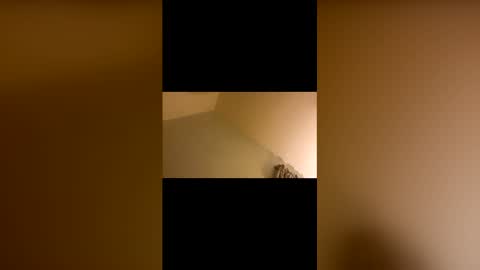 alpakkadajakka20348277 online show from April 2, 9:16 am