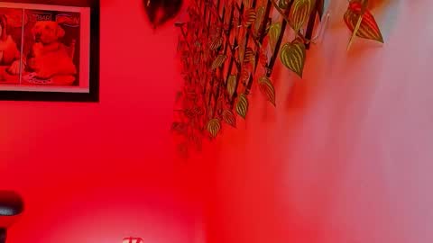 alpha_dominus_ online show from November 26, 5:05 am