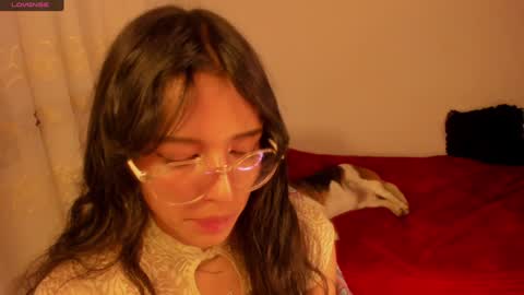 . .  online show from January 1, 11:18 pm