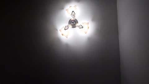 Petruss s Csabesztoo online show from January 17, 3:34 am