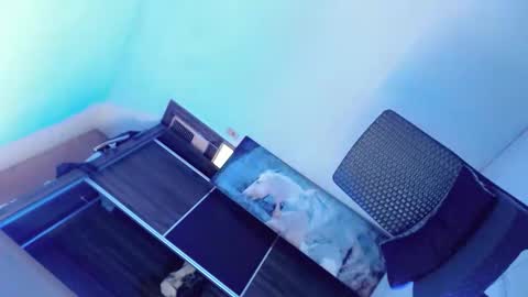 Amaya online show from September 16, 1:40 am