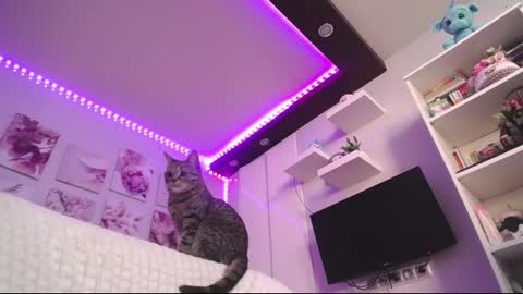 Snapshot of amazing_agness chatting on February 23, 7:00 am amazing_agness online show from February 23, 7:00 am