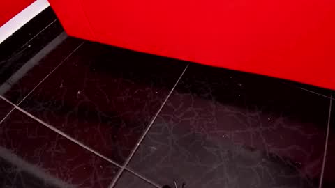 Amber online show from December 19, 3:02 am