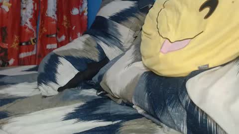 Marie online show from April 15, 9:26 pm